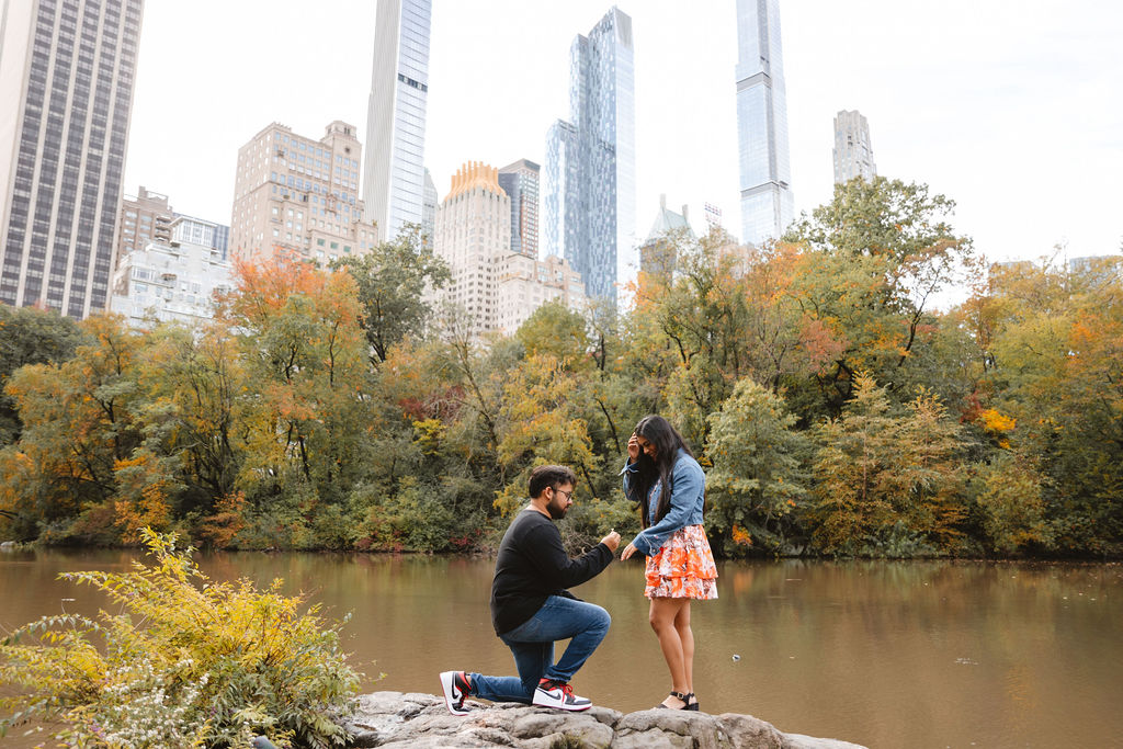 Marriage Proposal in New York